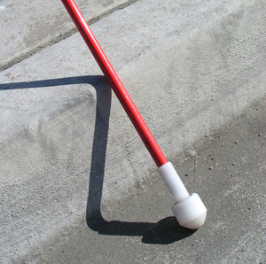 Team Page: Lighthouse Visionaries 